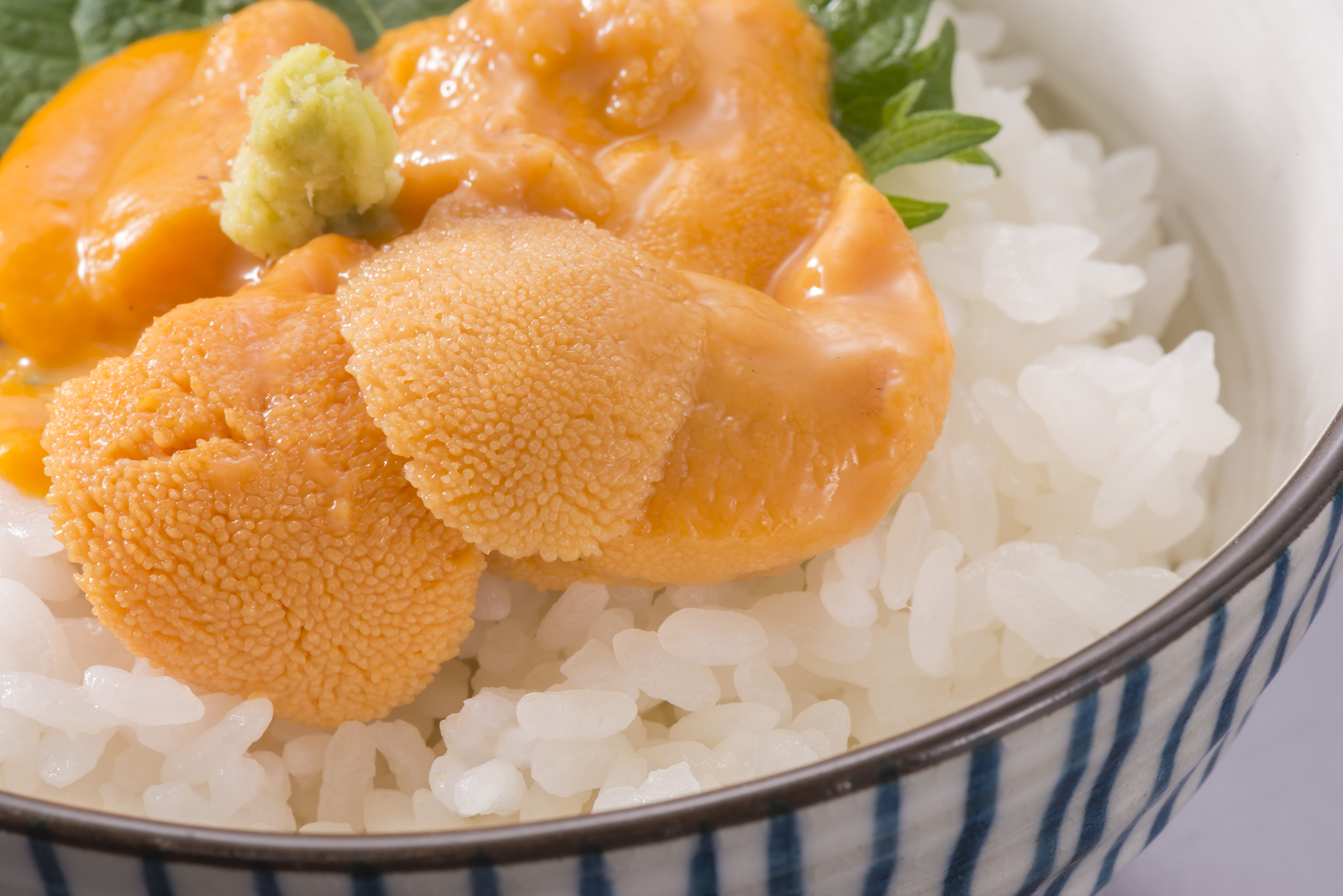うに丼シズル