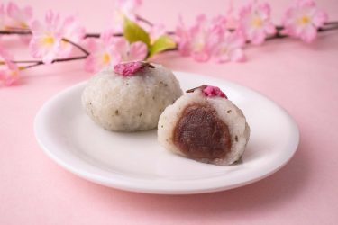 さくら香る桜のおはぎ